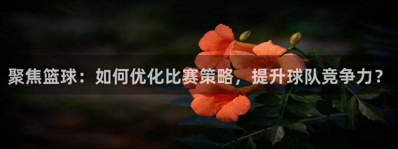 聚焦篮球：如何优化比赛策略，提升球队竞争力？