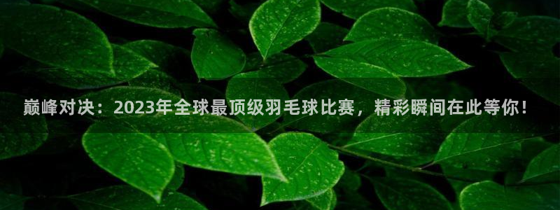 巅峰对决：2023年全球最顶级羽毛球比赛，精彩瞬间在此等你！