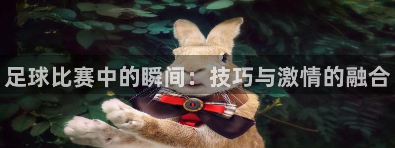 足球比赛中的瞬间：技巧与激情的融合