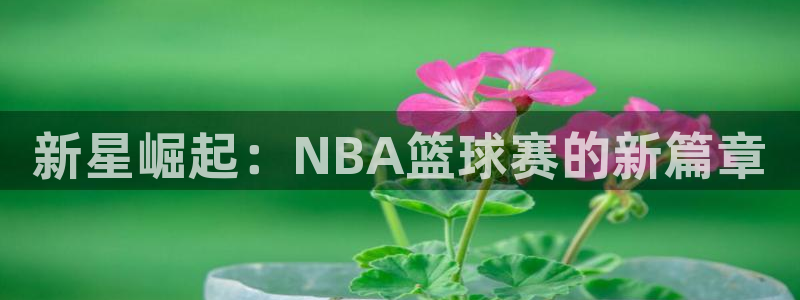 新星崛起：NBA篮球赛的新篇章