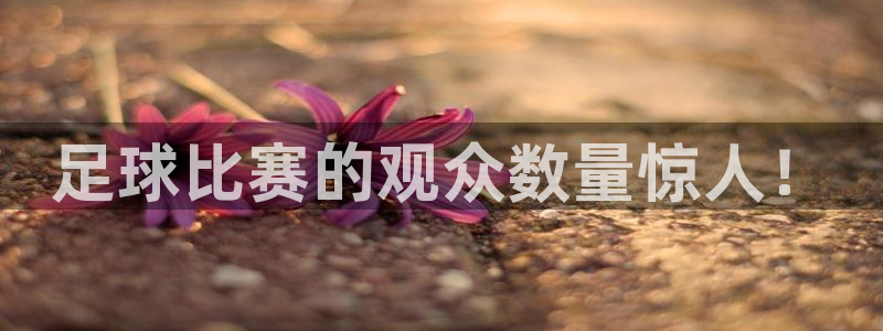 球速体育官方入口下载