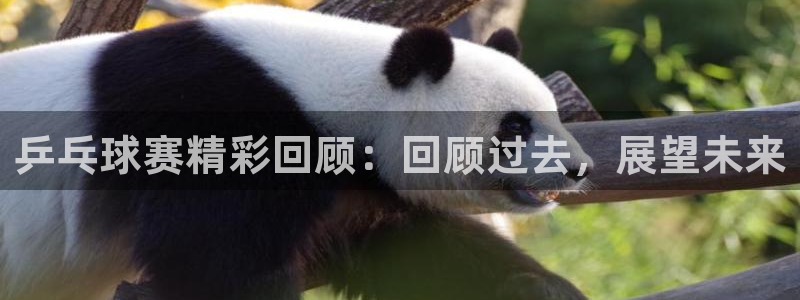 球速体育提现虚拟地址怎么改：乒乓球赛精彩回顾：回顾过去，展望